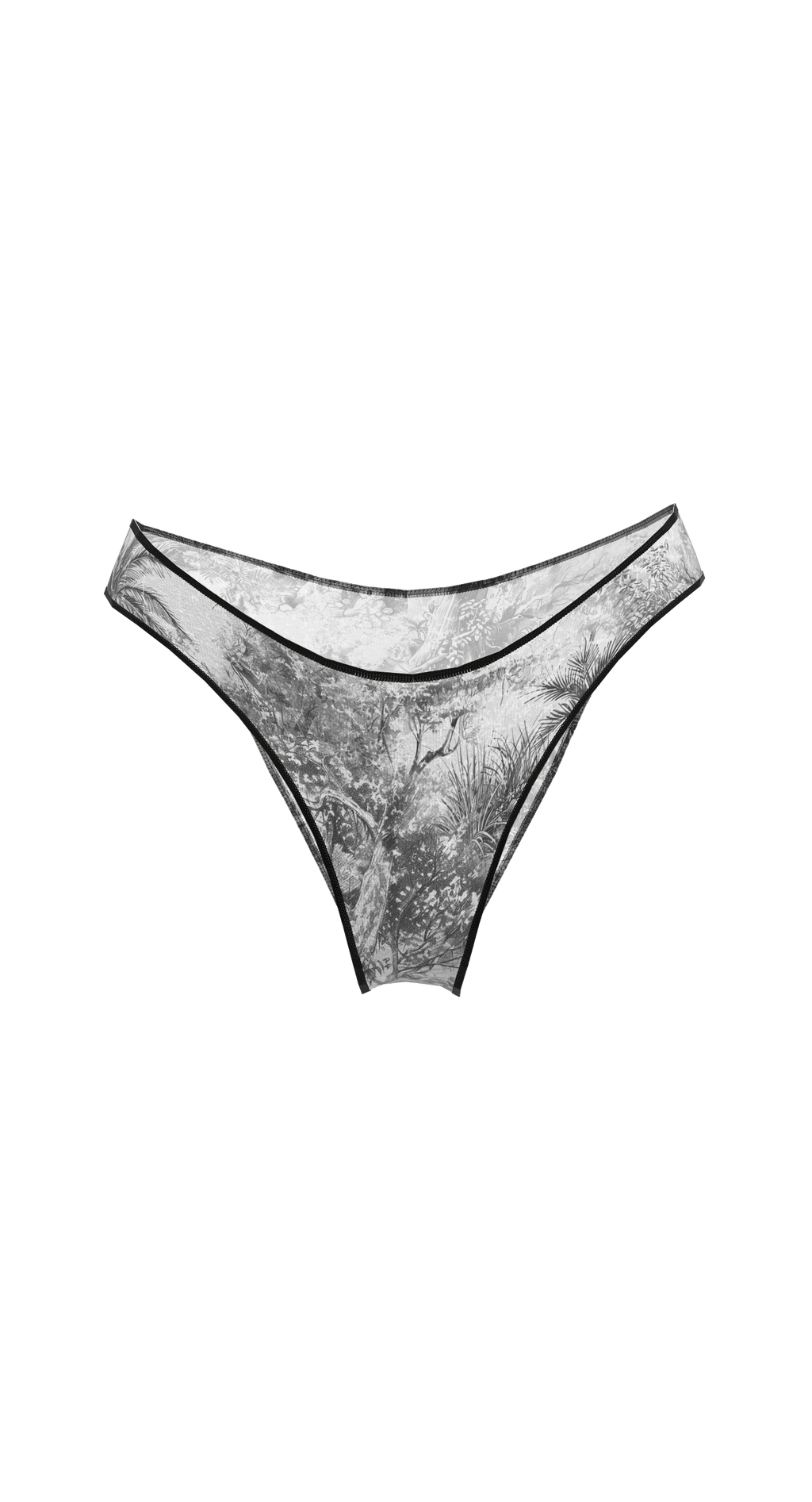 Casablanca Echoes Trunks