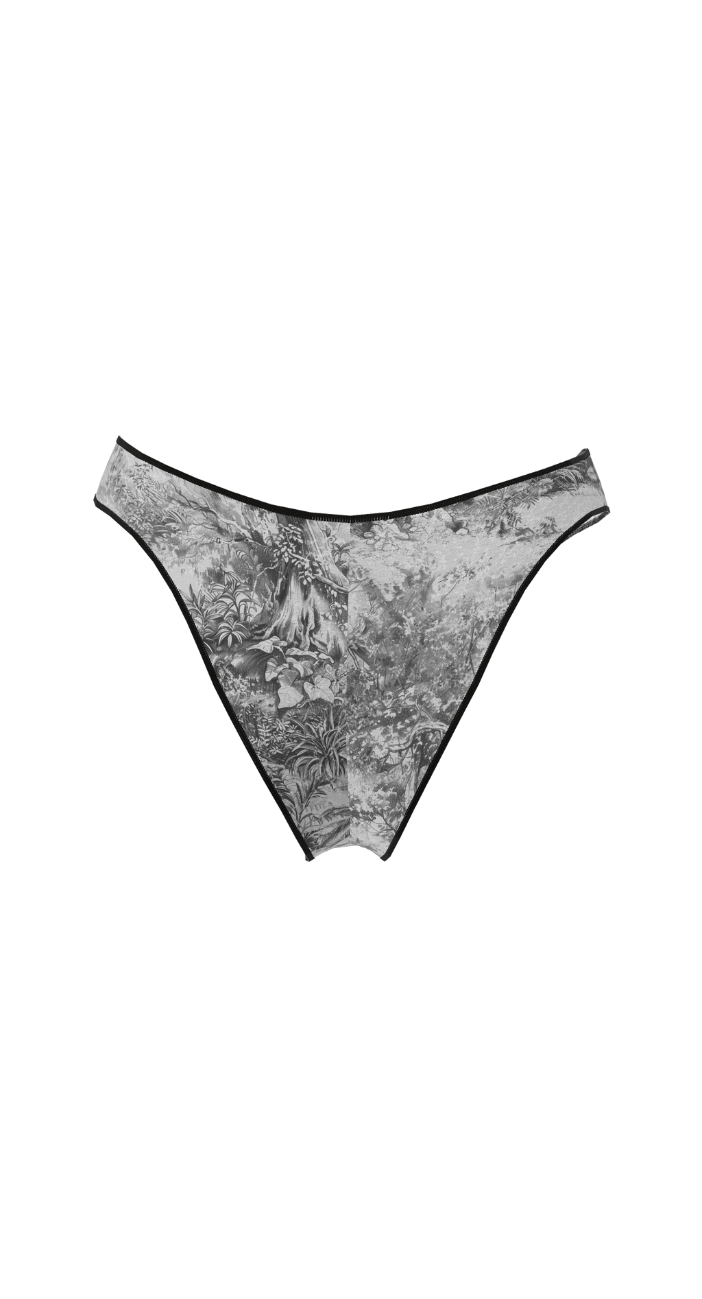 Casablanca Echoes Trunks