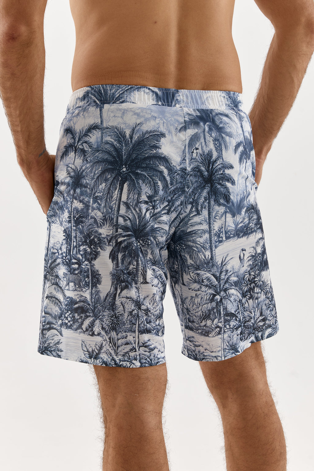 Corsica Echoes Shorts