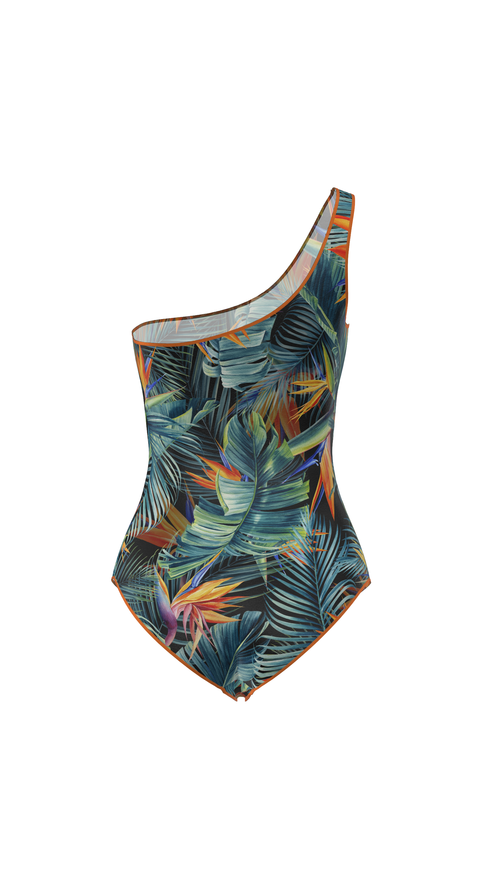Rio Swimsuit