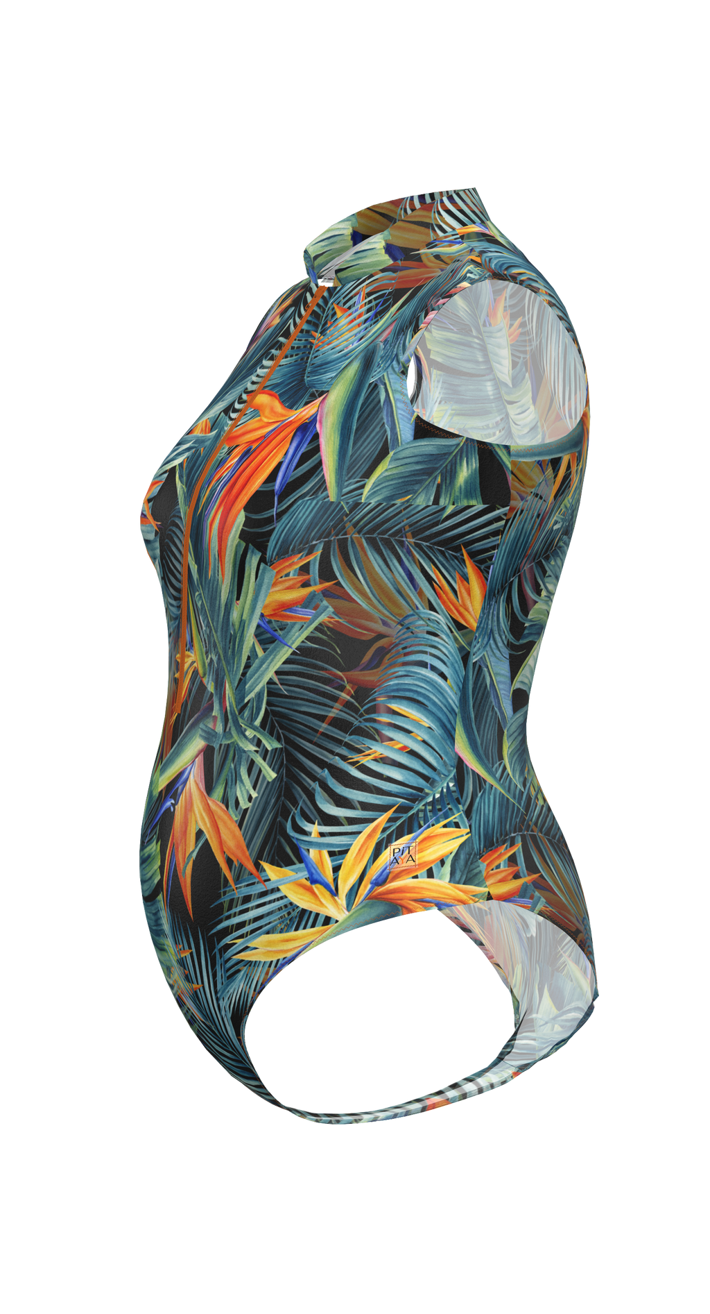 Sydney Plus Swimsuit